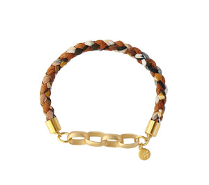 Joylet in Rust